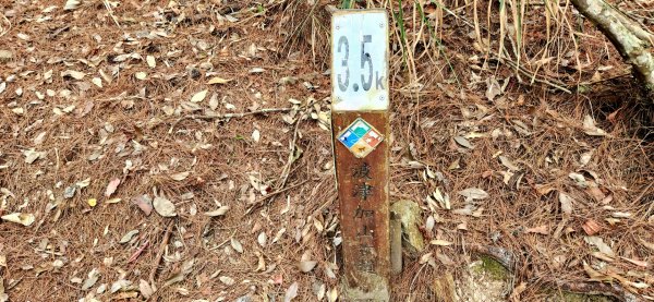 波津加山，太平蝙蝠洞延伸步道，福田賞桐生態步道，美崙山步道，台東鯉魚山2005049