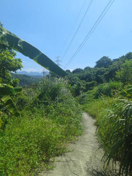 2025.10.05－阿罩霧山、中心瓏步道2908080