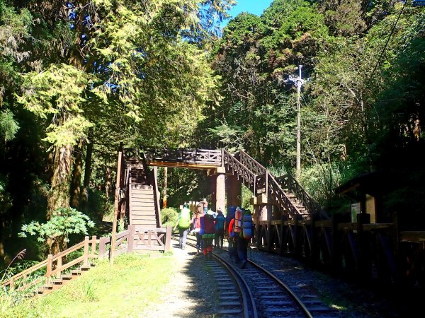 再訪眠月線 2019/11/23-24753034