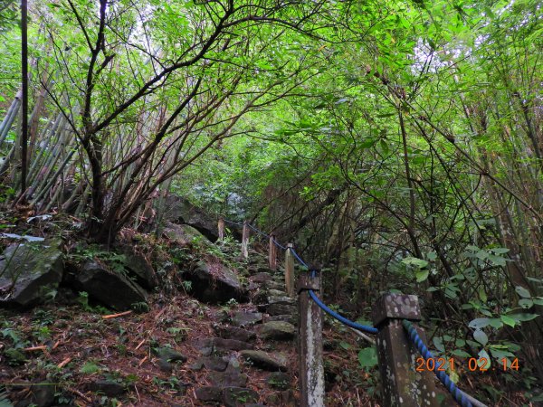 臺北 北投 向天池山、山仔頂古道1269605