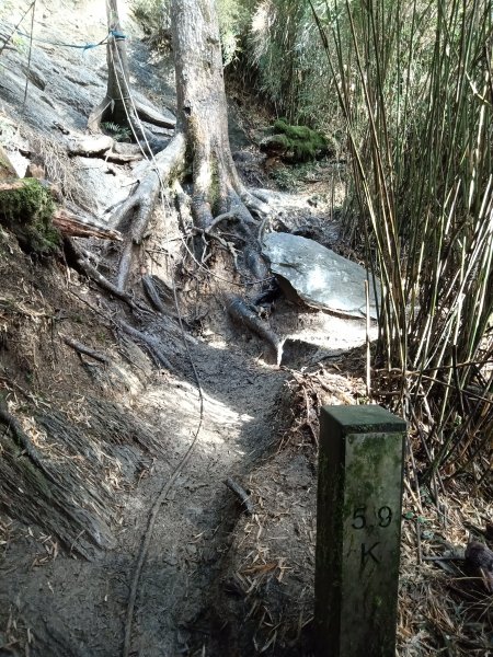 合歡西峰單攻1216980