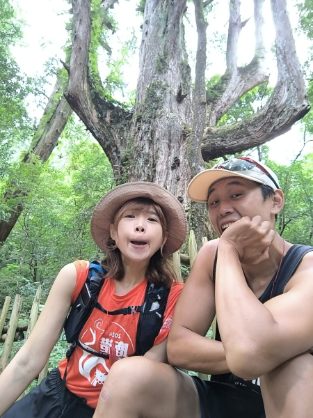 司馬庫斯、鎮西堡神木群