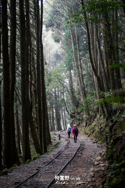 特富野古道1407575