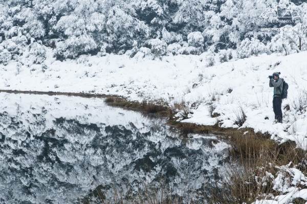 【攝野紀】夢幻般的雪中松蘿湖264546