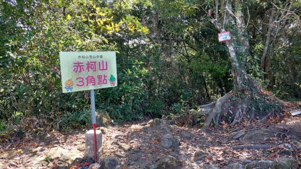 關西太元宮-赤柯山-赤柯山南峰-東獅頭山O型1977826