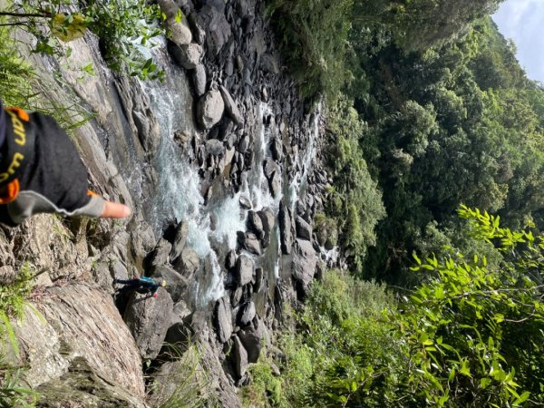 烏來西坑林道/探勘派出護管所彈藥庫遺址至獅坑橋2576288