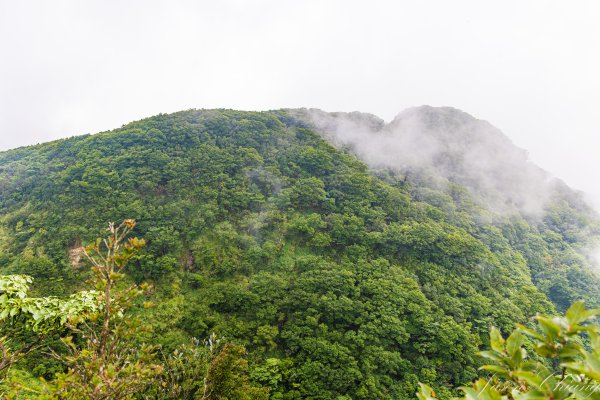 [桃園]北插天山磨練之旅2532922
