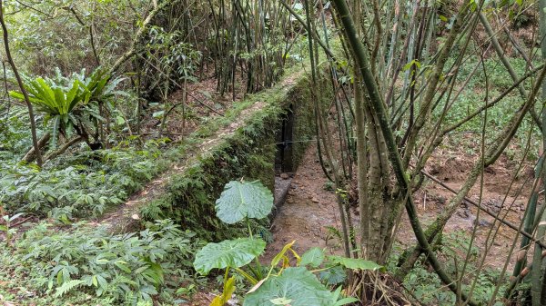 114.11.15平溪小黃山段-望古瀑布段之旅2937803