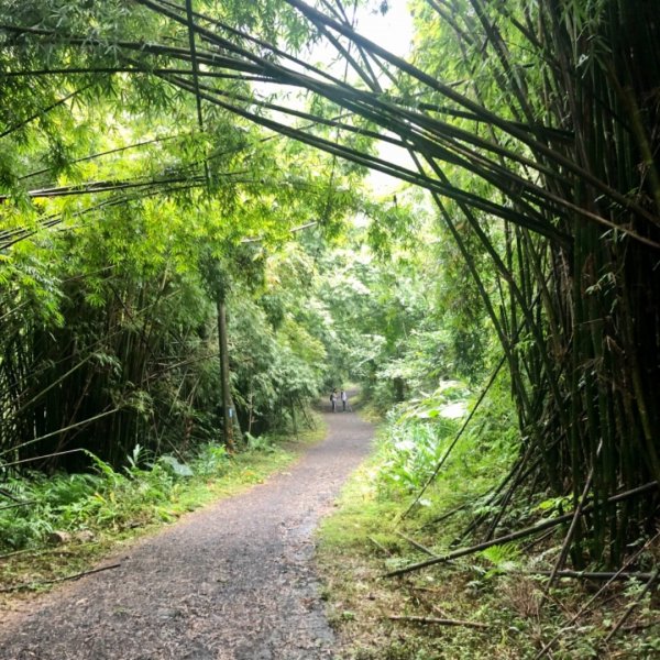 23.跑馬古道（反走）輕鬆走走、蘭陽平原1171329