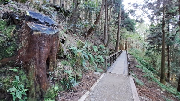 20241127特富野古道+梯子板山2659307