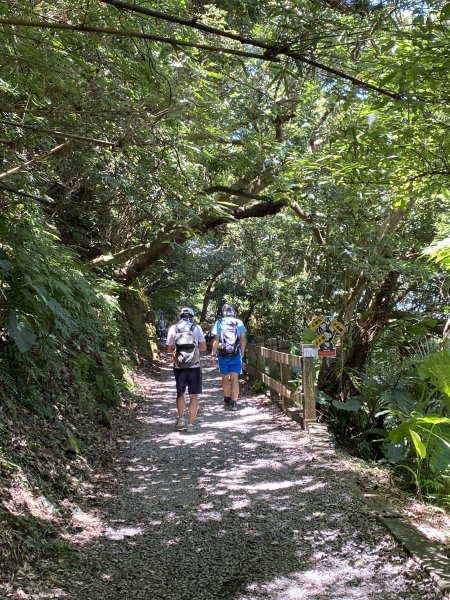 《陽明山秘境健行｜翠峰瀑布 × 天母古道 夏日涼爽路線》2852225