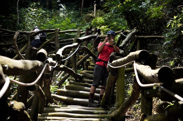 大坑1號步道2865261