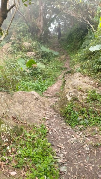 關刀山2645303