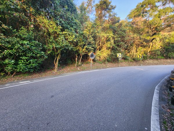 20260110大湖公園捷運站至擎天崗2993188