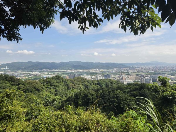 20260706大暖尖山-猴洞小o3084672