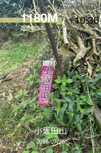 南投小半天七連峰3094622