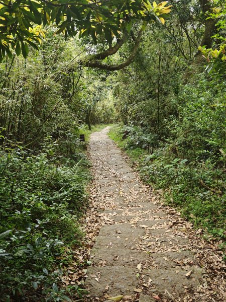 2026-0323 台北大縱走第一段3022633