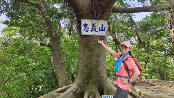 (姨婆趴趴走)第十集:攀登新北鶯歌蛋山，鶯歌郊山步道群縱走(二)2167985