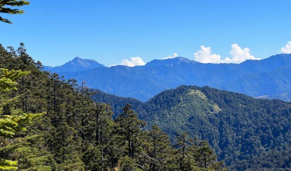 值得為它緩慢⋯白姑大山1487659