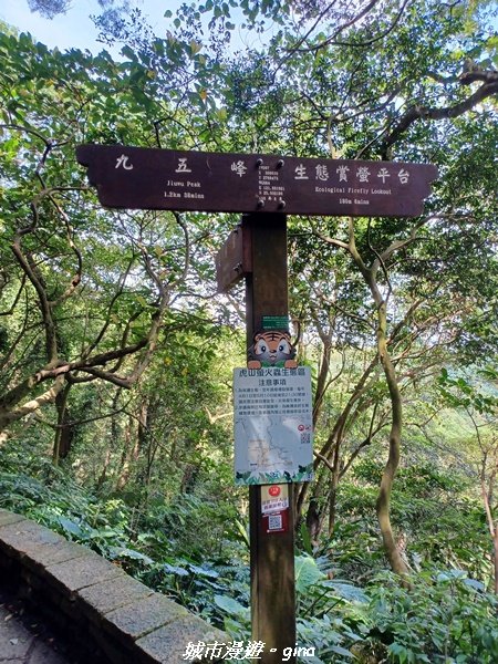 【台北信義】搭捷運爬山趣。 小百岳集起來。編號13小百岳-南港山步道1755563