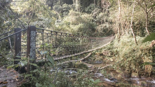 馬胎古道 （馬胎一期、南坪古道、內灣老街）3073798