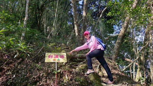 (姨婆趴趴走)第四十六集:新竹關西赤柯山及南峰、東西獅頭山、馬福山環狀縱走2685734