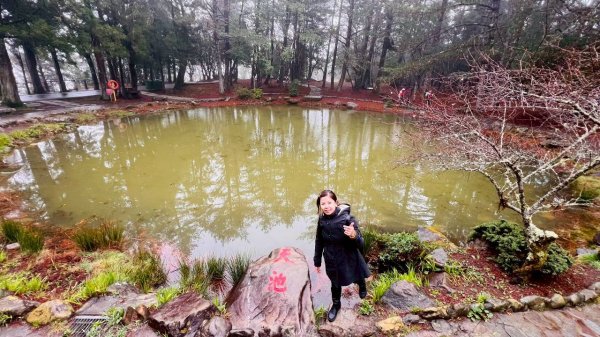 🌈3/1（日）福壽山農場~千櫻園✨FB：熊熊趴爬走🌈3008569