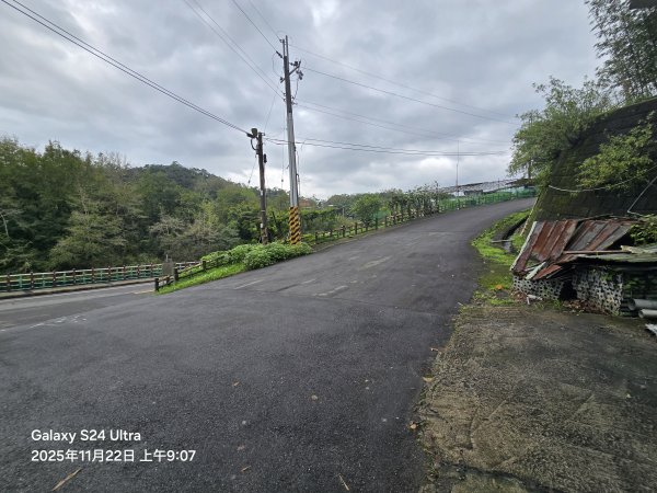 2025-11-22微笑山線：【五分山系】平溪小黃山段2943274