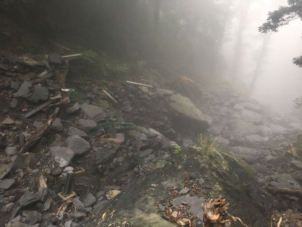 觀霧檜山巨木森林步道171738