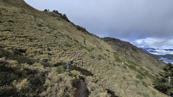 20241124-1130 南二段10座百岳2665407