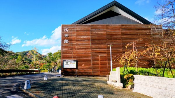 茨城縣出雲大社2929322