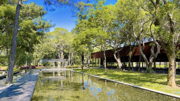 大湳森林公園2817286