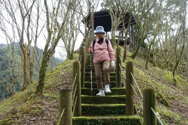 觀音台 水柳腳登山步道3085156