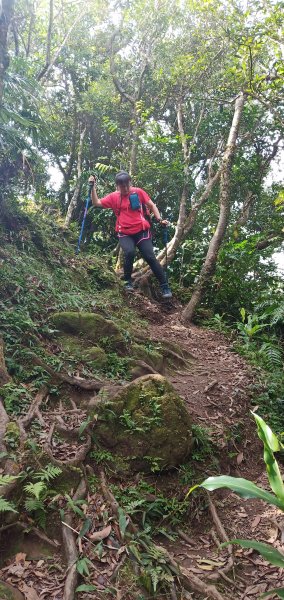 108.10.26 石碇 筆架山南峰北峰716391