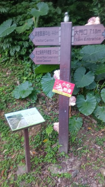 仁山植物園1747602