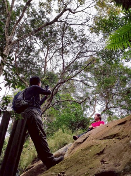 馬那邦山（珠湖登山口）2933944