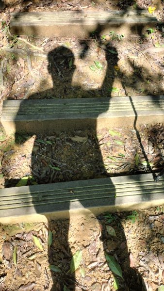 銀河洞越嶺道2469343