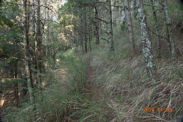 南投 仁愛 武法奈尾山2133745