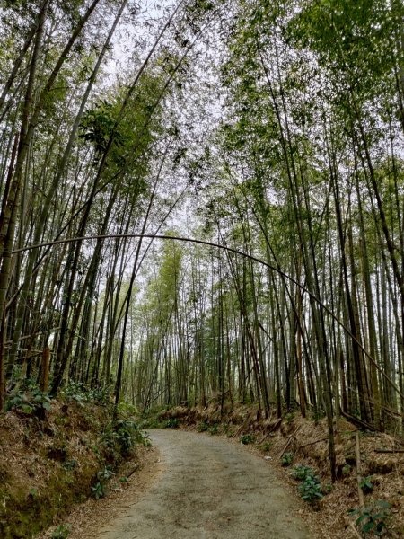 四大天王山縱走獨立山(雙溪路線)2754477