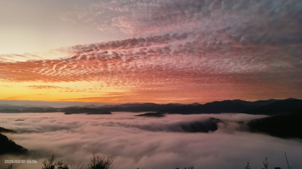 翡翠水庫壩頂 #曙光 #日出 #火燒雲 #斜射光(上帝光) #雲海 3/12722447