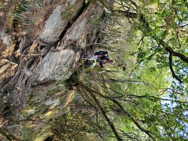 中橫大辣－屏風山1507797