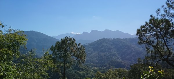 2025/11/22_大分林山步道