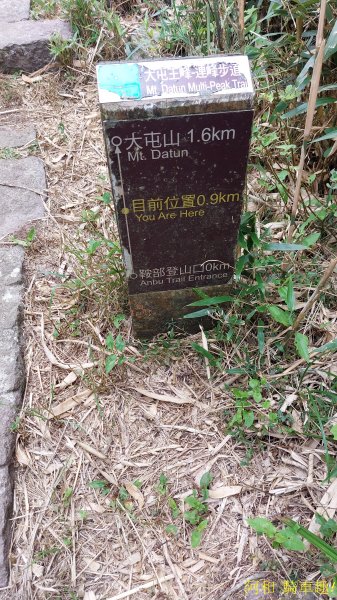 大屯山1827891