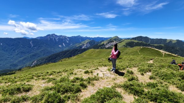 合歡山北峰， 石門山，霧峰奧山，青桐林生態園區，九九峰森林步道，桃源里森林步道，龍鳳谷森林步道1779118