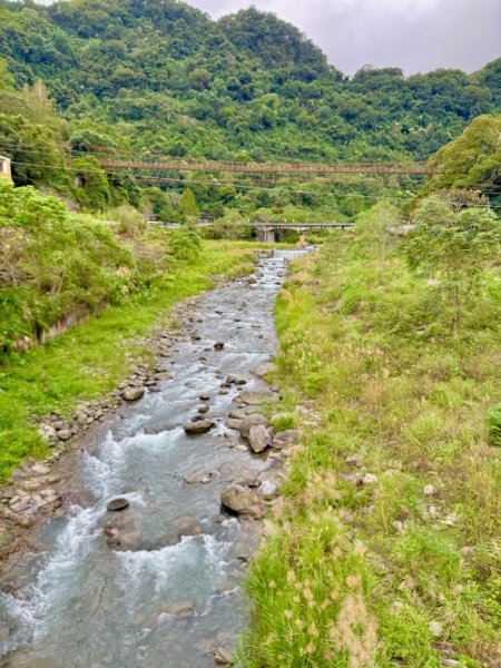 清泉 雪霸農場 野馬瞰山2925858