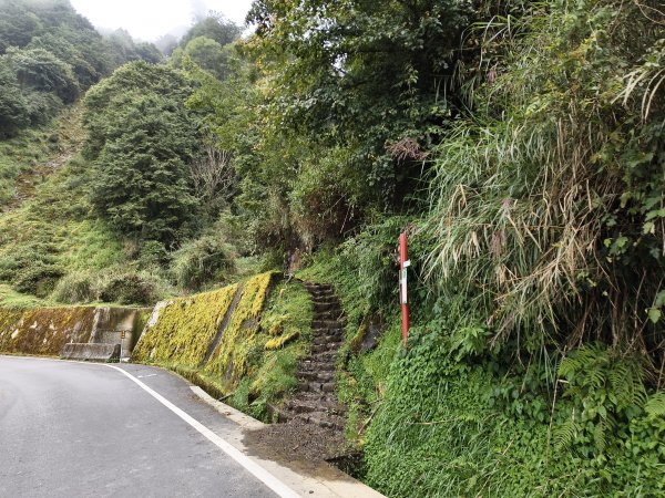 [玉山尋寶任務-08/12] 2025_0824 鹿林山步道_鹿林山2870795