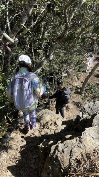 20260214 小百岳藤枝山3003002