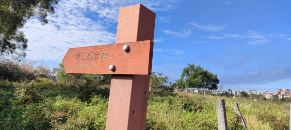 新寮休閒步道2949200