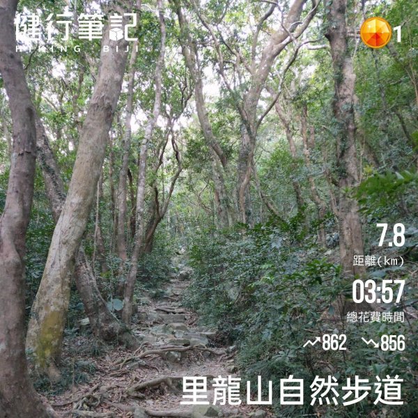 小百岳(80)-里龍山-202212252053297