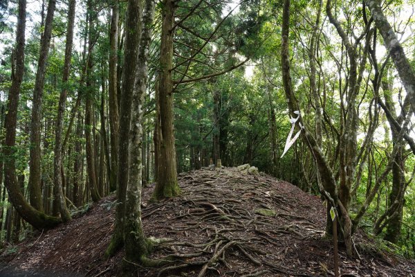 新竹 五峰 油羅山、霞山2798243